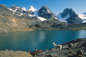 lac altitude + lamas